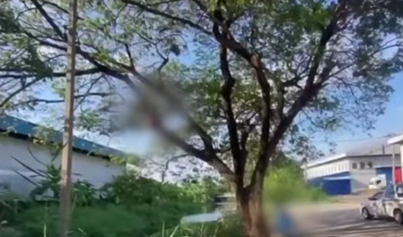 Ảnh: Channel 7 on YouTube