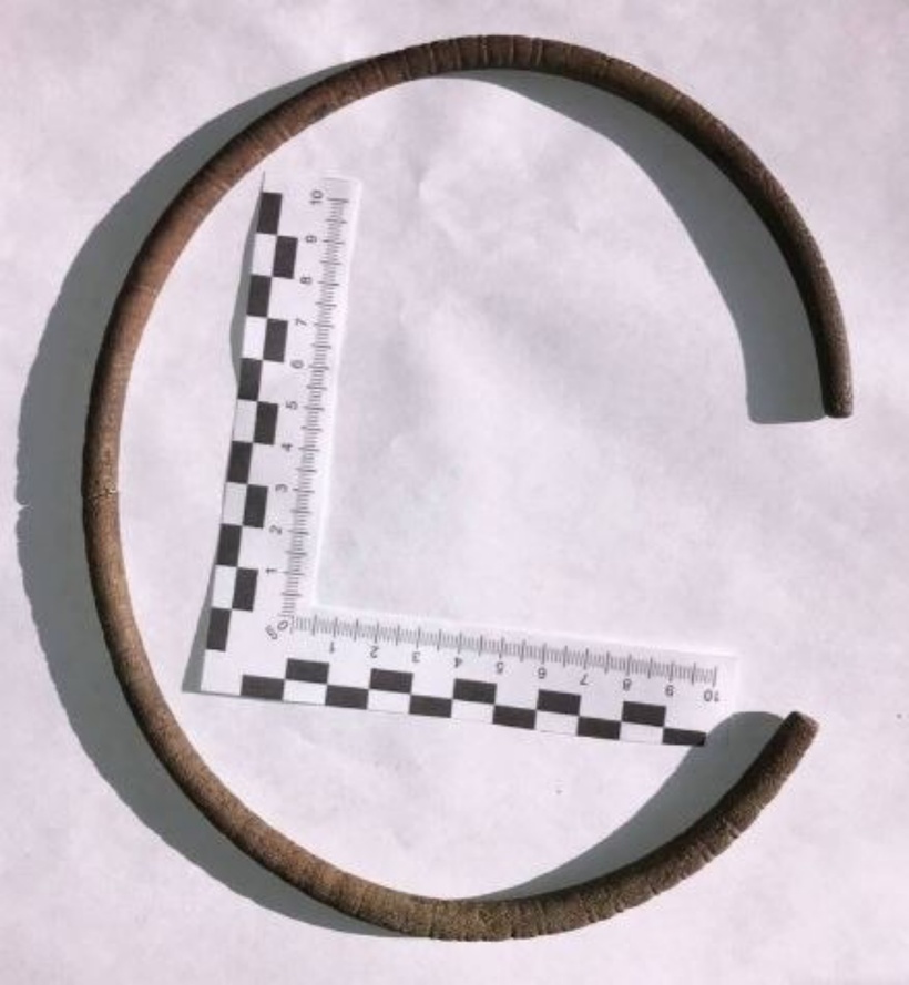 Các chuyên gia nhận định chiếc vòng cổ có thể được một người nào đó thuộc nền văn hóa Lusatian đeo.