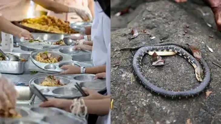 Đầu bếp nhà trường được cho là đã gắp một con rắn chết ra khỏi nồi thức ăn rồi cung cấp cho học sinh. Ảnh minh họa: Times of India