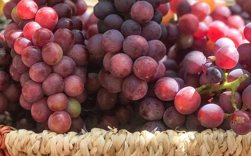 "Cứu tinh" tự nhiên cho lá gan của người thường xuyên uống rượu bia - 1