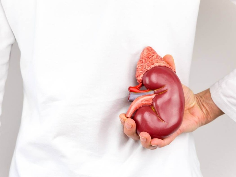 Tăng sản thượng thận bẩm sinh là một căn bệnh khó, nhưng không phải là bản án tuyệt vọng. Ảnh minh họa