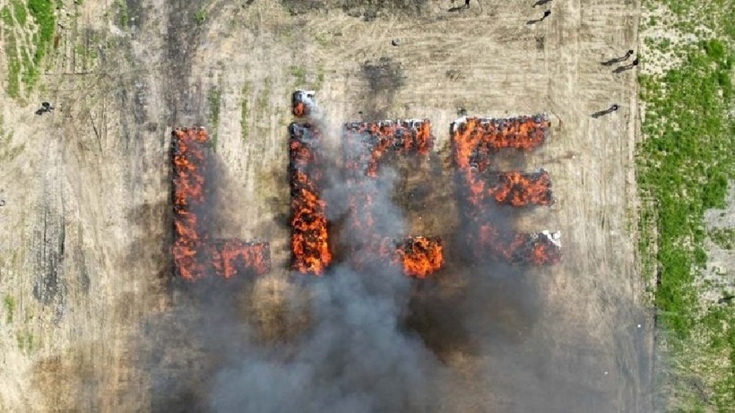 Số bao cần sa được xếp thành chữ "LICE" trước khi bị đốt cháy. Ảnh: Oddity Central.