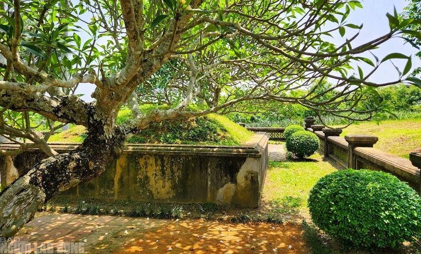 Mộ vua Lê Túc Tông.