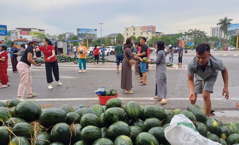 Người dân hỗ trợ thu gom dưa hấu. (Ảnh: Dân Việt)