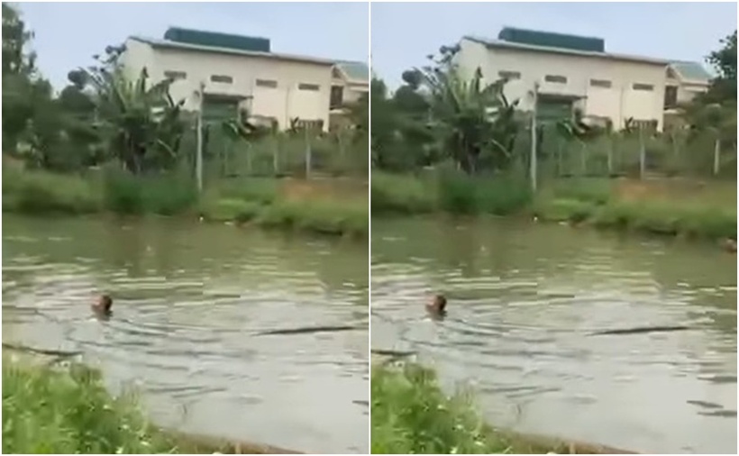 Hồ nước nơi xảy ra vụ chết đuối thương tâm. (Ảnh: Người lao động)