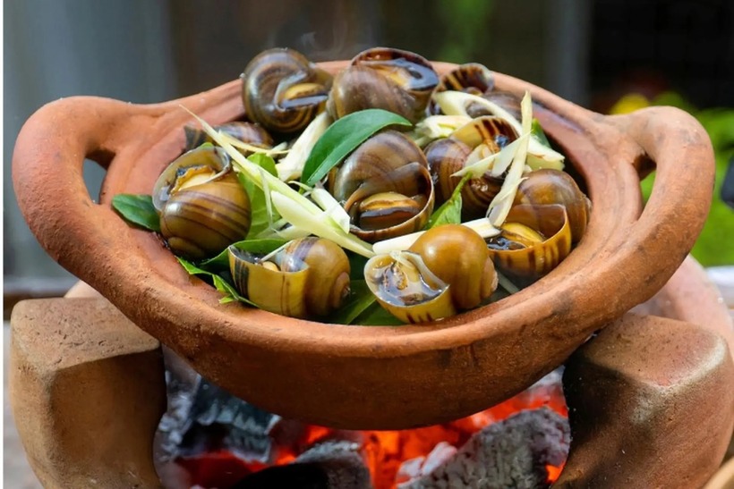 Ốc có tính hàn, ăn vào dễ gây lạnh bụng, đau bụng, đi ngoài.