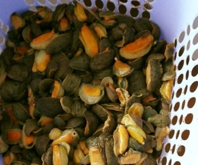 Loài đặc sản không xương, nghe tên "tụt mood", ăn vào "gây nghiện" giới sành ẩm thực - 2