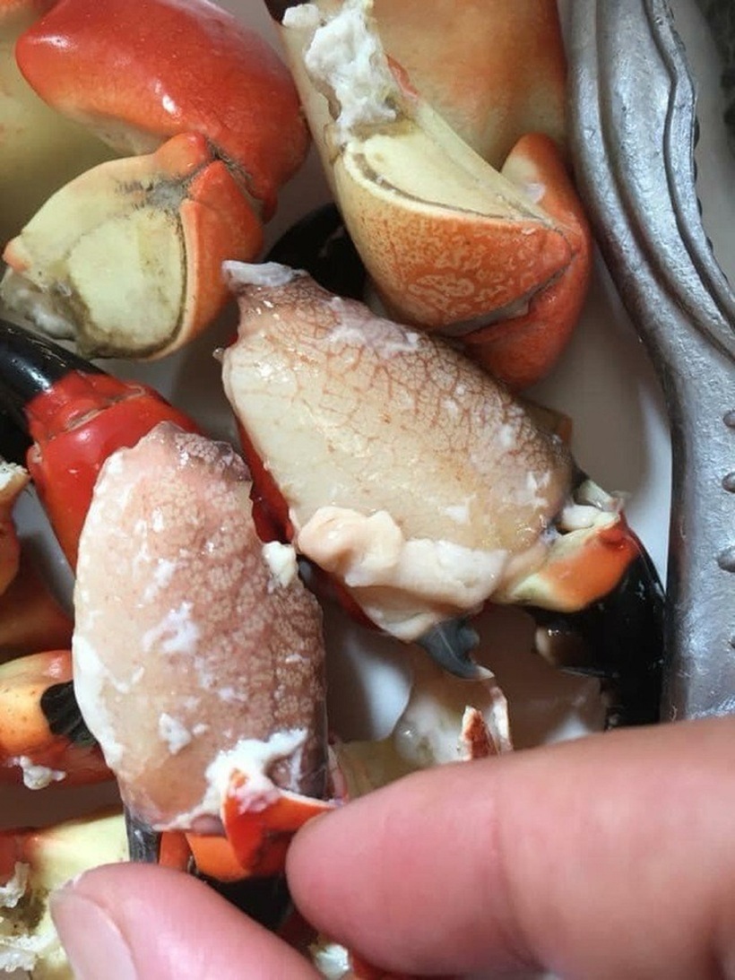 Kỳ lạ loài "Cua sấm" chân co rúm, hình thù xấu xí nhưng ăn một lần là "nghiện" quên lối về - 4