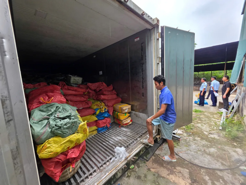 Phát hiện, thu giữ hơn 25 tấn mực ống, sách bò, chân gà bốc mùi, không rõ nguồn gốc tại Quảng Ninh - 1