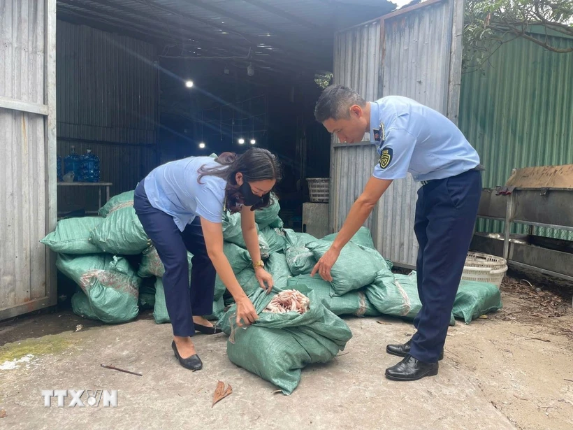 Lực lượng chức năng thu giữ gần 8 tấn chân gà không rõ nguồn gốc tại thành phố Móng Cái. Ảnh: TTXVN