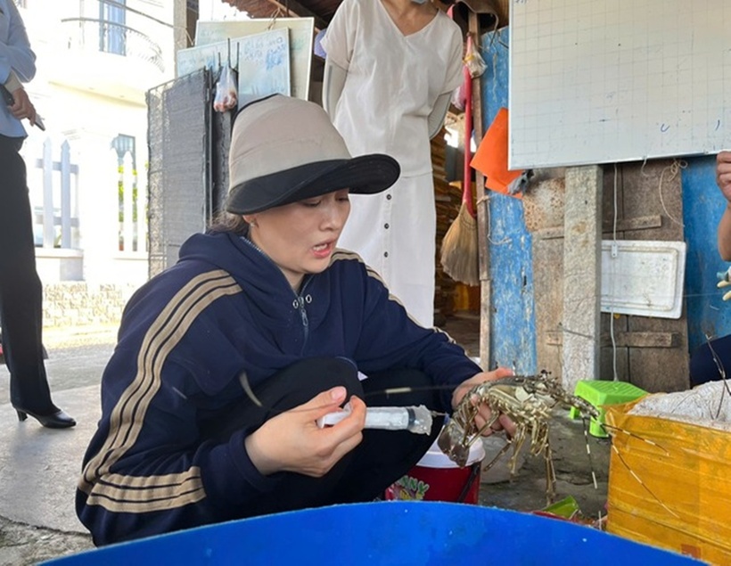 Bà N.T.X. bơm tạp chất thạch rau câu vào 45kg tôm hùm đã chết. (Ảnh: Chi cục Quản lý thị trường Phú Yên)