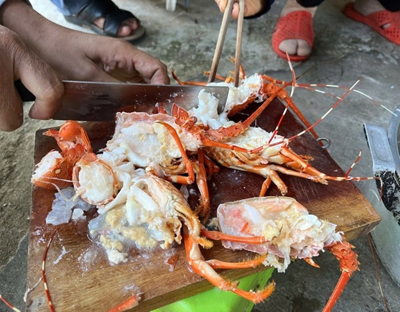 Tôm hùm bơm tạp chất. (Ảnh: Chi cục Quản lý thị trường Phú Yên)