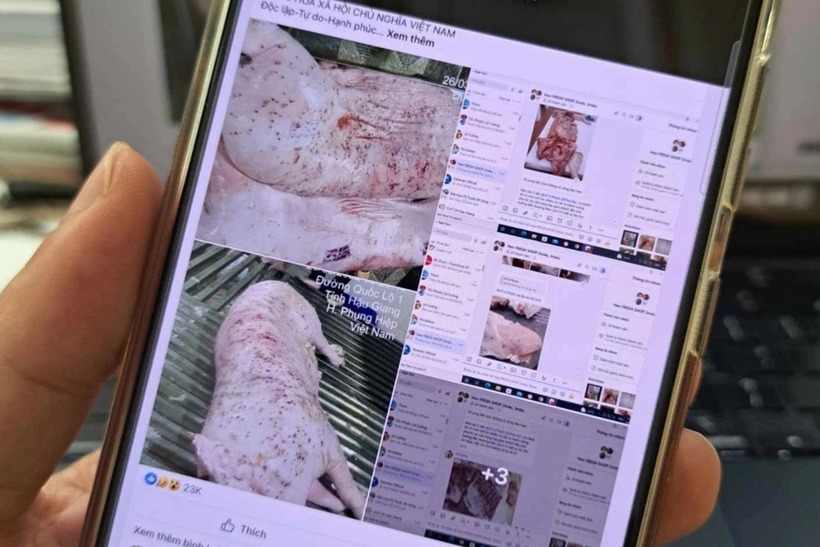 Những thông tin, hình ảnh ông N. phản ánh trên mạng xã hội liên quan đến Công ty C.P.. Ảnh: Dân Trí