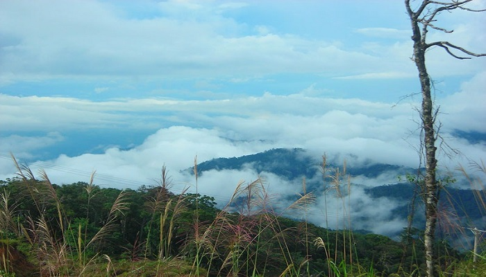 Đỉnh Hòn Bà có độ ẩm cao và thường xuyên có mưa, tạo điều kiện thuận lợi cho thảm thực vật phát triển phong phú.