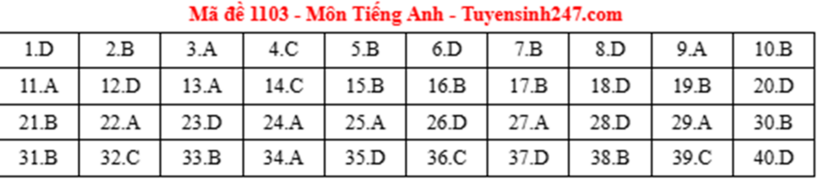 Đáp án, đề thi môn Tiếng Anh mã đề 1103 tốt nghiệp THPT 2025: Cập nhật nhanh nhất, chính xác nhất - 1