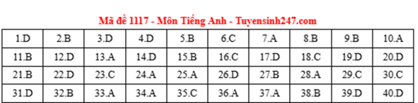 Đáp án, đề thi môn Tiếng Anh mã đề 1117 tốt nghiệp THPT 2025: Cập nhật nhanh nhất, chính xác nhất - 1