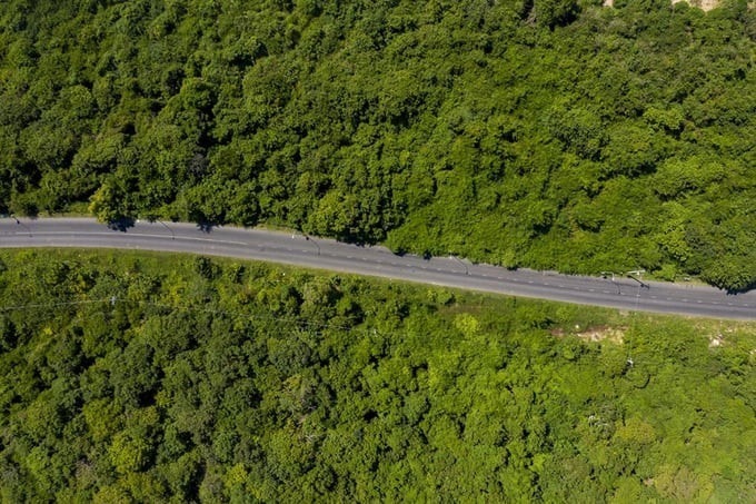 Cung đường xuyên rừng này nằm trên con đường biển Hồ Tràm – Hồ Cốc thuộc huyện Xuyên Mộc, tỉnh Bà Rịa – Vũng Tàu.