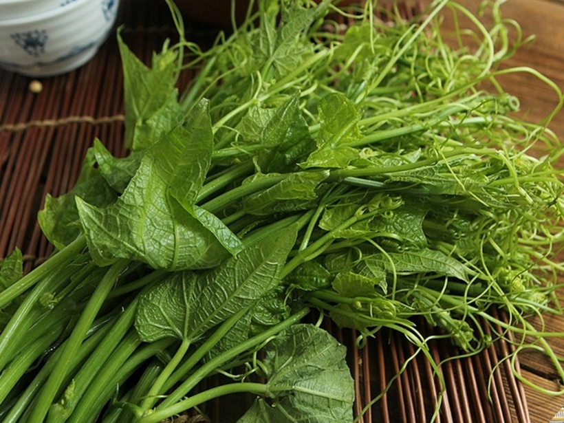 Rau bí cũng được đánh giá cao trong việc tăng cường hệ miễn dịch, giúp cơ thể chống lại tác nhân gây bệnh từ môi trường.