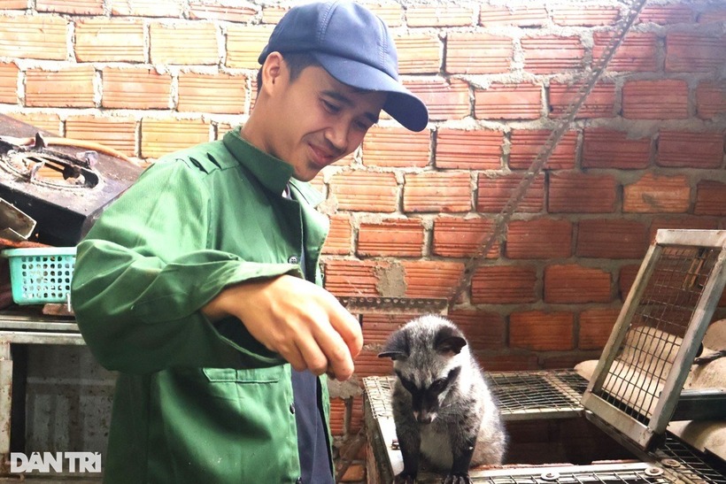 Anh Huỳnh Viên Mãn bỏ phố về quê nuôi chồn. Ảnh: Dân trí