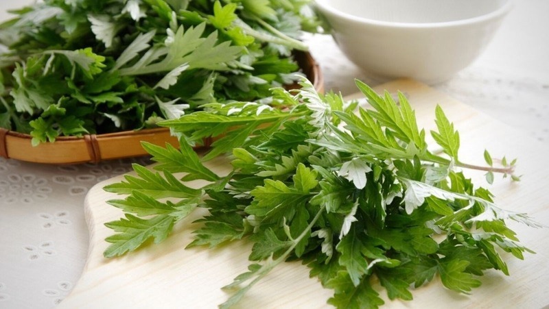 Dù ngải cứu mang lại nhiều lợi ích, nhưng bạn cũng không nên lạm dụng.