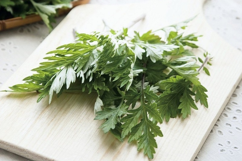Ngải cứu đã trở thành một loại thảo dược quen thuộc trong y học cổ truyền và ẩm thực dân gian Việt Nam.