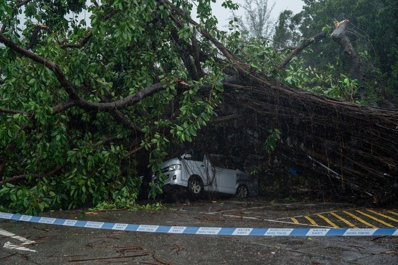 Một chiếc ô tô bị đè do cây đổ ở Hong Kong trong bão Wipha. Ảnh: SCMP
