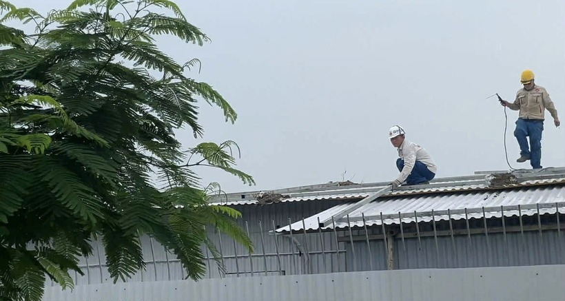 Sở GD&ĐT Hải Phòng yêu cầu đảm bảo an toàn tuyệt đối cho học sinh, giáo viên trước bão số 3. Ảnh minh họa