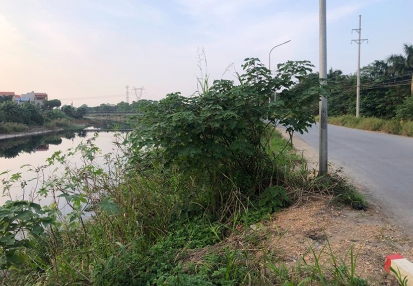 Đoạn đường nữ sinh viên năm nhất bị sát hại. Ảnh: VnExpress