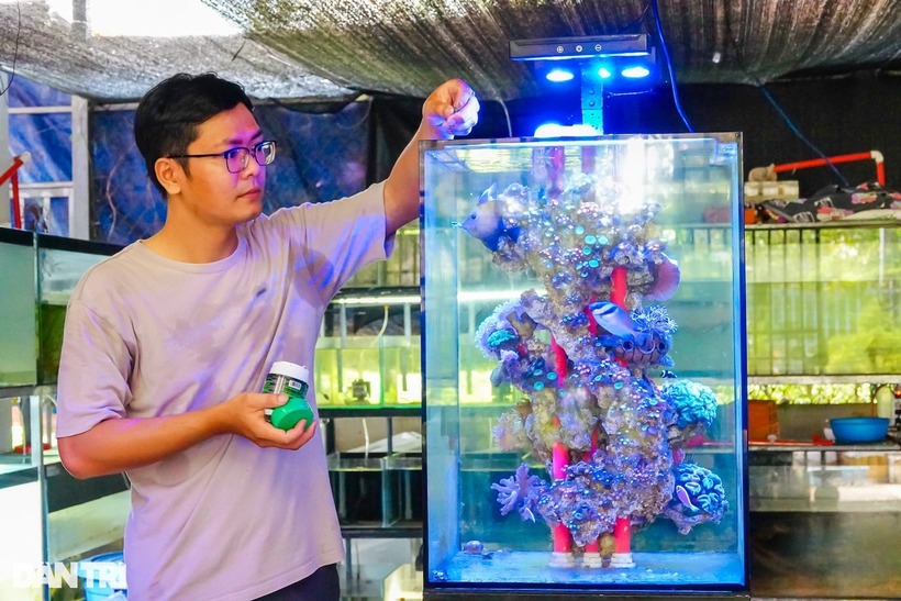 Anh Nguyễn Thanh Hoàng bên bể cá. Ảnh: Dân trí