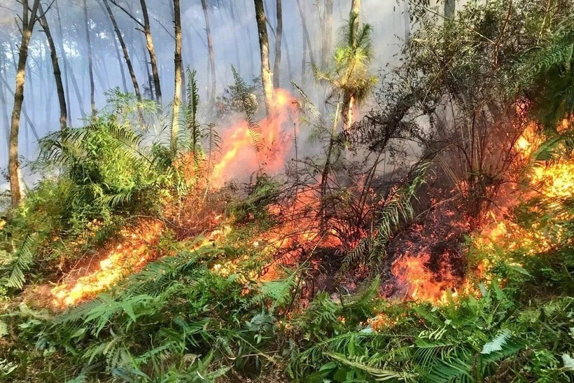 Vụ cháy rừng xảy ra tại xã Thiên Nhẫn. (Ảnh: Dân trí)