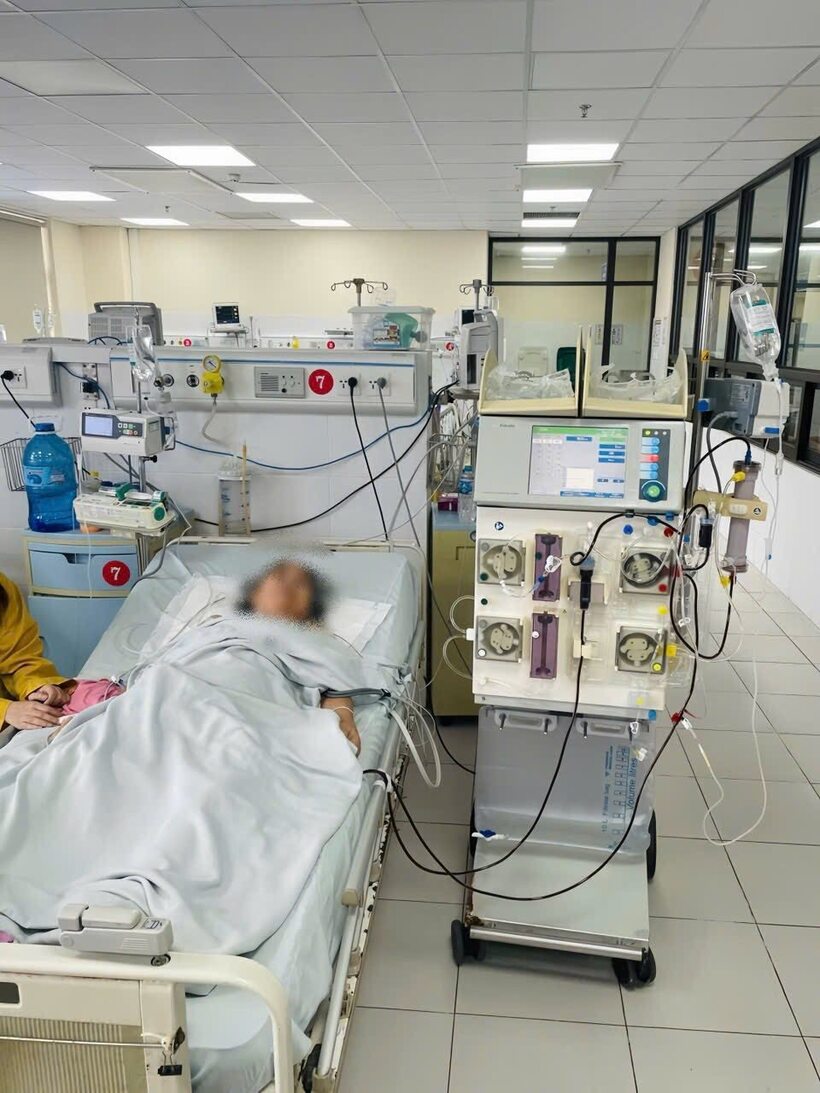 Người phụ nữ ngưng tim, suy đa tạng sau khi bị ong đốt