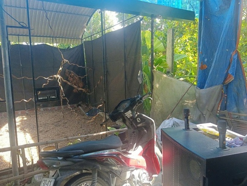 Khu chuồng nhỏ nơi anh Thành nhân giống thành công 10 con gà lôi trắng. Ảnh: Người lao động