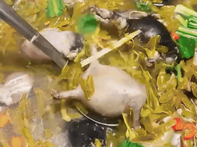 Một trong những món phổ biến và được yêu thích nhất là canh chua lá me non.