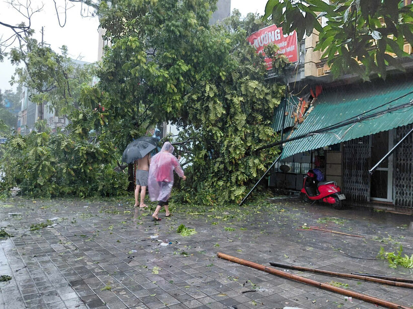 16 người thương vong do cơn bão số 5, hơn 1,5 triệu hộ dân mất điện. Ảnh minh họa