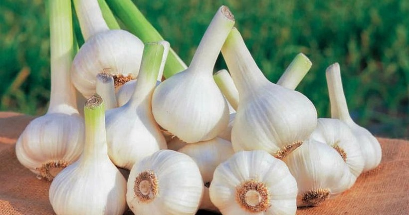 Bật mí loại gia vị rẻ tiền ngăn ngừa đột quỵ hiệu quả - 2
