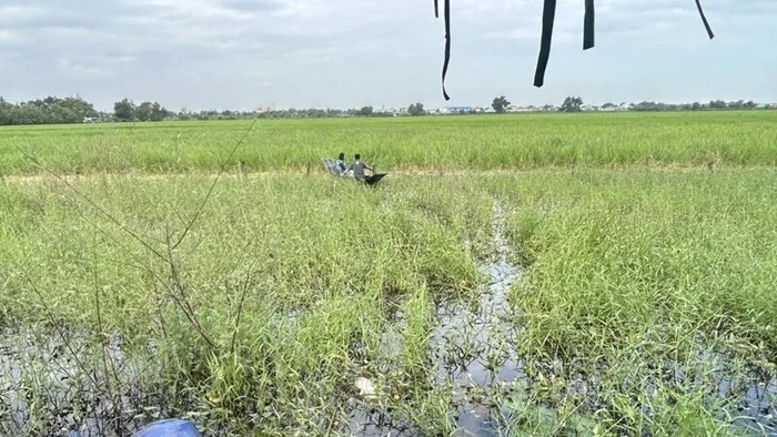 Nơi phát hiện thi thể nạn nhân.