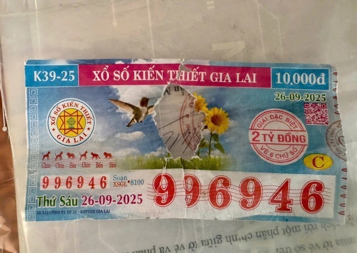 Tờ vé số trúng giải độc đắc bị rách. Ảnh: Tuổi Trẻ
