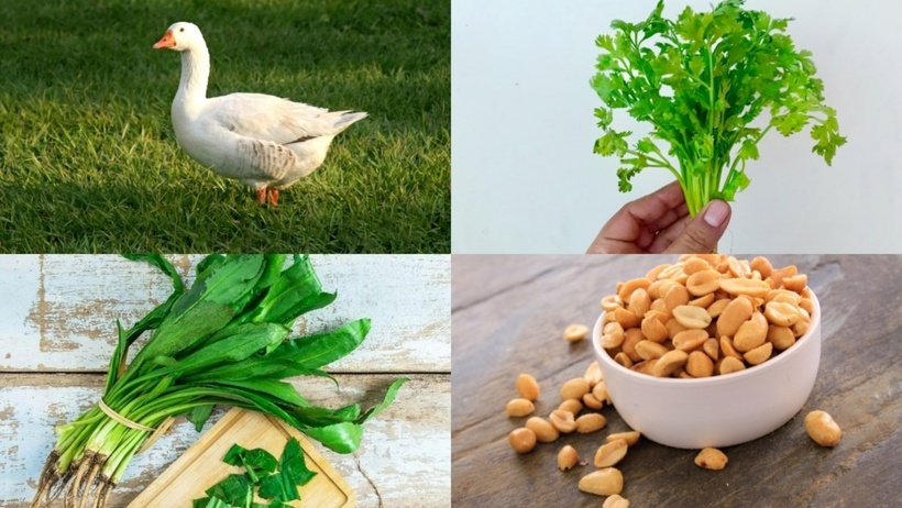 Nguyên liệu cần có. Ảnh minh họa.