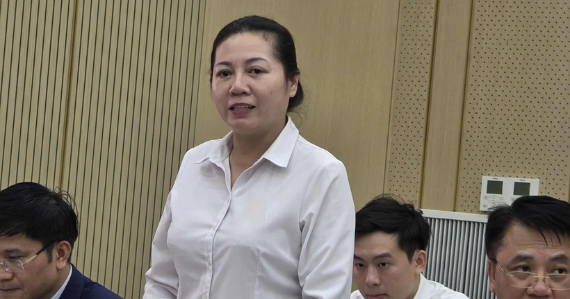 Bà Trần Thị Phương Hoa, Phó Cục trưởng Cục Quản lý Thi hành án dân sự.