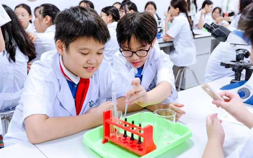 Các ngày nghỉ lễ, Tết của ngành giáo dục, bao gồm giáo viên và học sinh các cấp, luôn tuân thủ Bộ luật Lao động 2019 và các văn bản hướng dẫn hàng năm của Thủ tướng Chính phủ. Ảnh minh họa