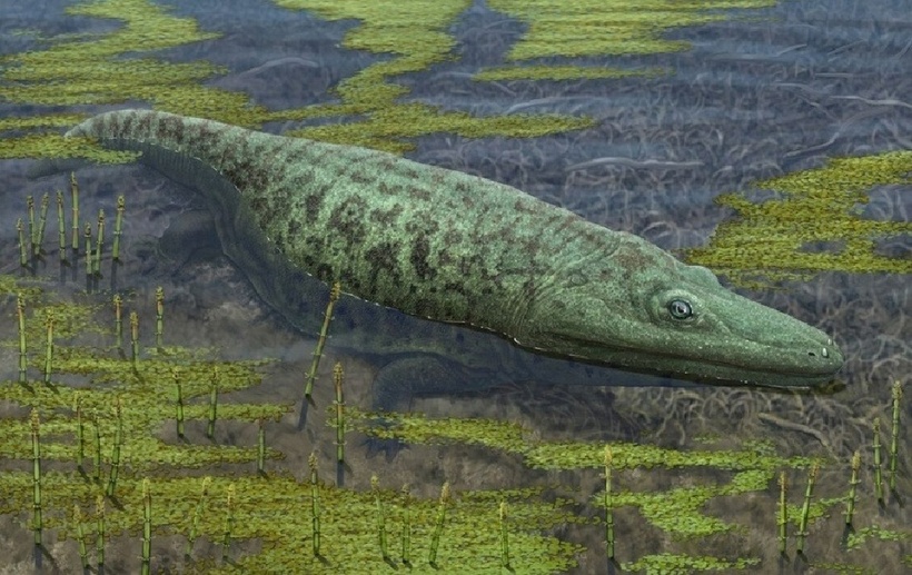 Mastodonsaurus sống chủ yếu trong nước. Chúng gần như không thể đi xa trên cạn, phụ thuộc vào ao hồ và đầm lầy. Điều này là do Mastodonsaurus có chân ngắn với các khớp kém phát triển không có khả năng nâng cơ thể lên khỏi mặt đất nếu ra khỏi nước. Ngoài ra, đầu của Mastodonsaurus lớn đến mức chiếm gần 1/4 tổng chiều dài cơ thể, điều này sẽ rất cồng kềnh nếu ở trên cạn. Các hóa thạch tìm được cũng cho thấy chúng chủ yếu sống ở vùng nước ngọt.