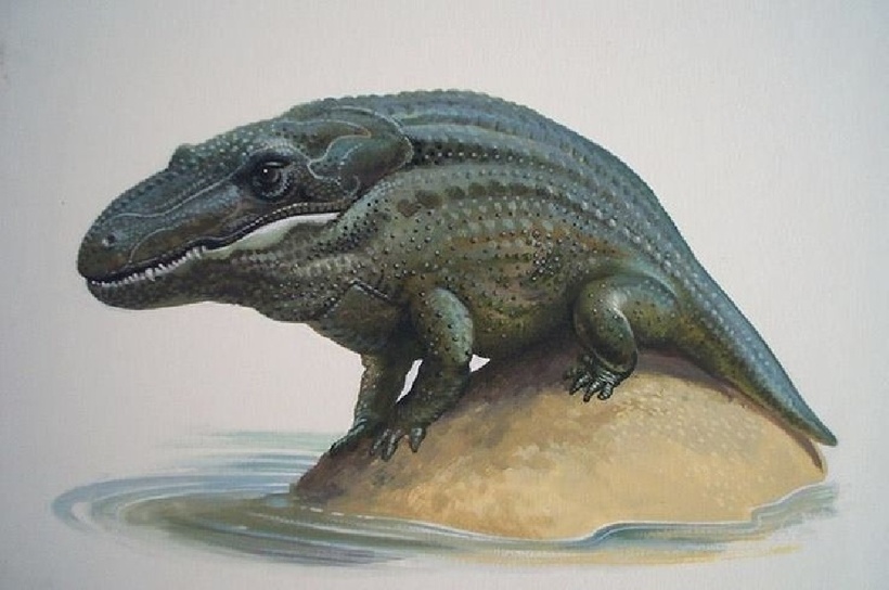 Mastodonsaurus được xem là "quái vật đầm lầy", kẻ săn mồi đầu bảng thời Trias vì không có nhiều đối thủ cạnh tranh, chúng thống trị các hệ sinh thái nước ngọt hàng chục triệu năm. Mặc dù nguyên nhân tuyệt chủng chưa rõ ràng, biến động khí hậu và sự cạnh tranh với các loài bò sát sơ khai đã khiến Mastodonsaurus biến mất trước thời khủng long thống trị.