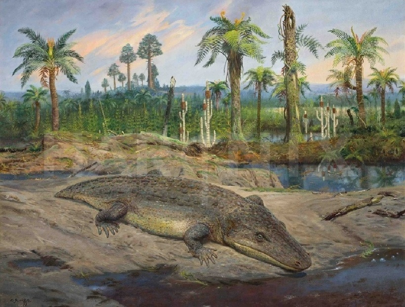 Mastodonsaurus sống vào kỷ Trias sớm (khoảng 200 triệu năm trước). Chúng phát triển mạnh vào khoảng 250 triệu năm trước, khi khủng long đầu tiên mới xuất hiện. Chúng trông giống như con ếch khổng lồ, nhưng thay vì có hình bán nguyệt như ở ếch, cơ thể Mastodonsaurus dài ra.