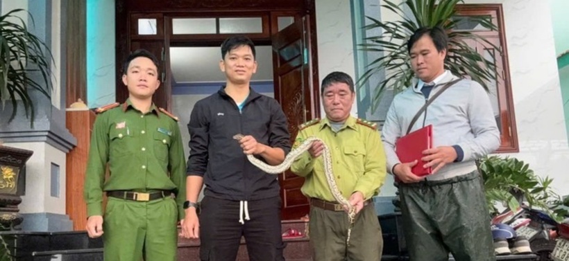 Anh Đoàn Tiến Dũng giao nộp trăn đất quý hiếm cho cơ quan chức năng. Ảnh: Công an tỉnh Quảng Trị.