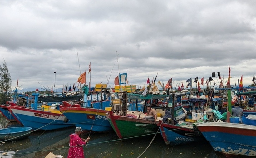 Tàu cá của ngư dân tỉnh Gia Lai neo đậu tại đầm Thị Nại. (Ảnh: Tuổi trẻ)