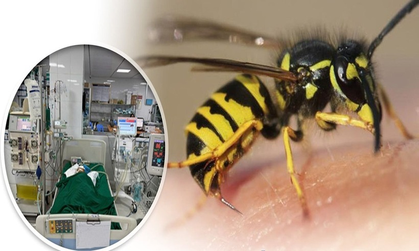 Sau 14 ngày được điều trị tích cực, sức khỏe của bé gái tiến triển rõ rệt. Ảnh: Công lý.