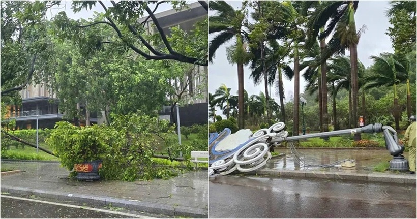 Gió giật mạnh gây hư hỏng nhiều bảng hiệu quảng cáo, trụ đèn chiếu sáng và cây xanh đô thị. Ảnh: PLO.