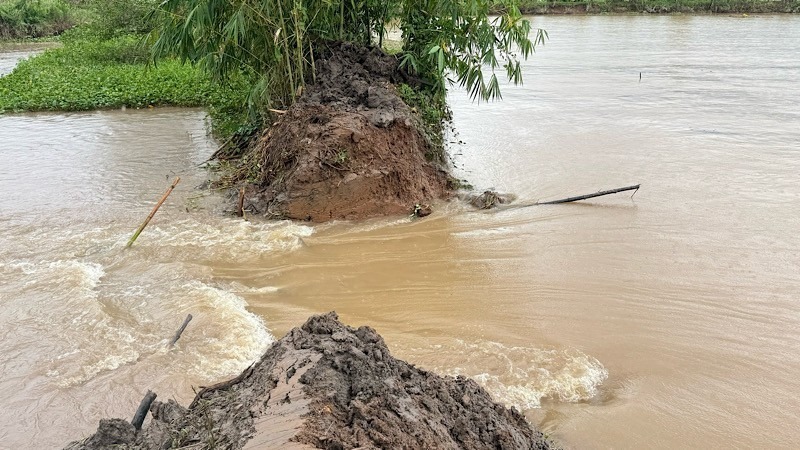 Một đoạn đê bao cồn Sơn bị vỡ. (Ảnh: Nhân dân)