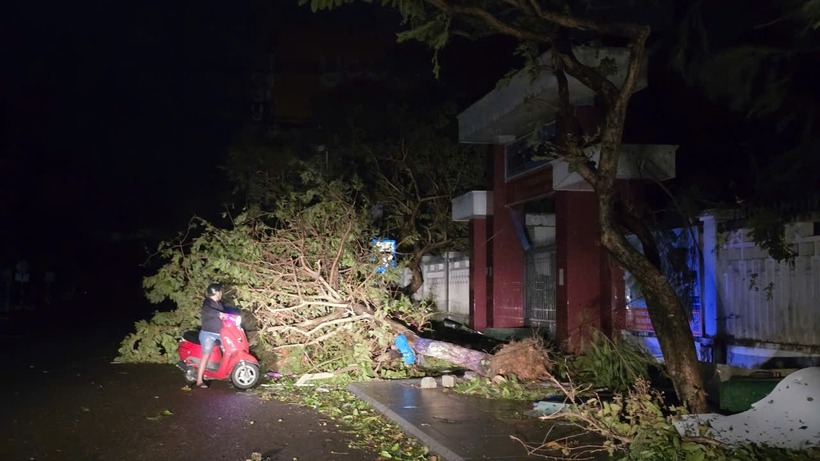 Các phường ở Quy Nhơn, tỉnh Gia Lai và nhiều khu vực lân cận bị cơn bão số 13 quét qua, để lại hiện trường là mớ hỗn độn, hoang tàn. Rất nhiều nhà dân bị tốc mái, nhiều cây xanh ngã đổ nằm ngỗn ngang, chắn cả tuyến đường.