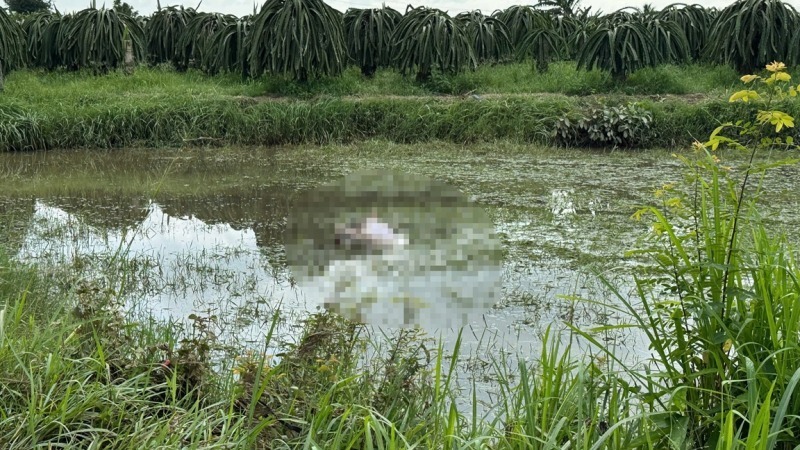 Hiện trường, nơi phát hiện thi thể ông T. sau khi nước ngập rút. Ảnh: CAND